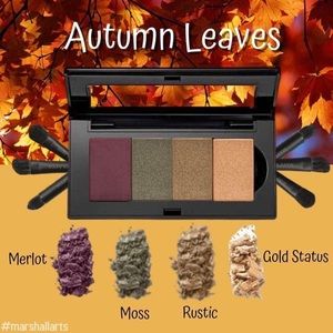 I have this exact palette without brushes. Brand new.